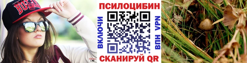 блэк спрут онион Нарьян-Мар Псилоцибиновые грибы мухоморы