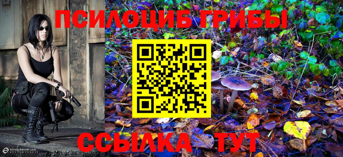 Псилоцибиновые грибы MAGIC MUSHROOMS Нарьян-Мар