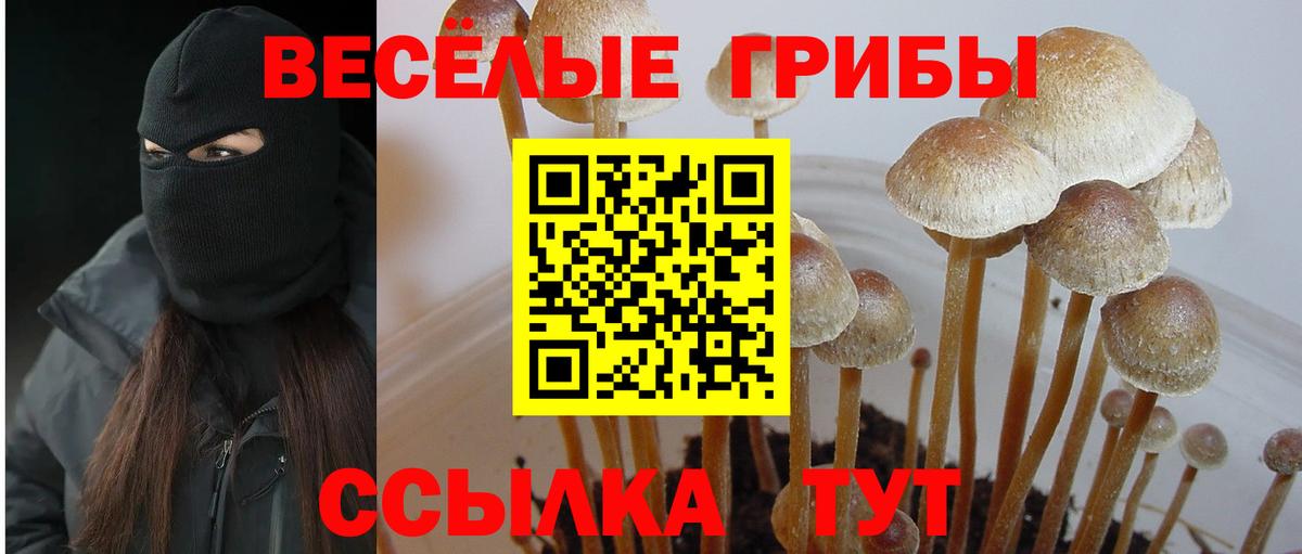 Псилоцибиновые грибы Cubensis  Вход с VPN  Нарьян-Мар  Псилоцибиновые грибы MAGIC MUSHROOMS 